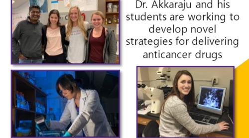Akkaraju Research Team