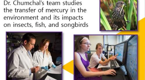 Chumchal Research Team