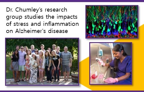 Chumley Research Team