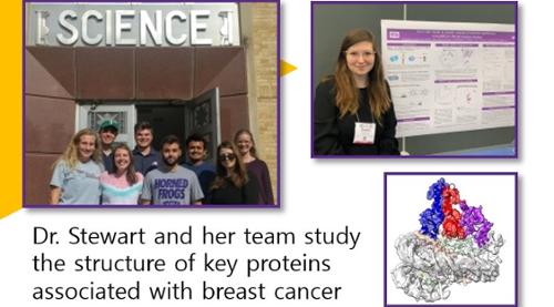 Stewart Research Team