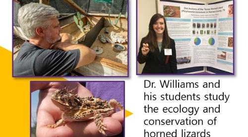 Williams Research Team