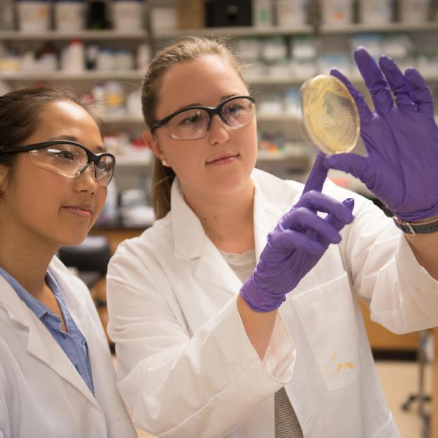 photo of students in a lab