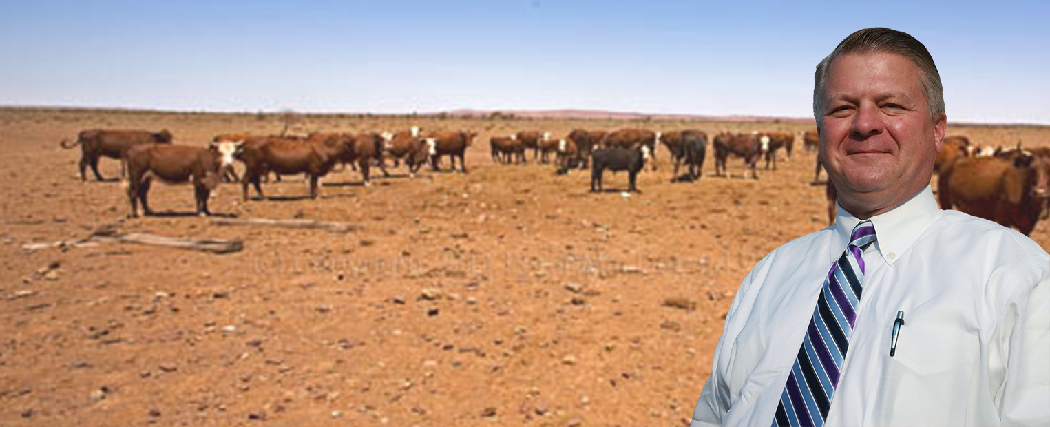 largedrought