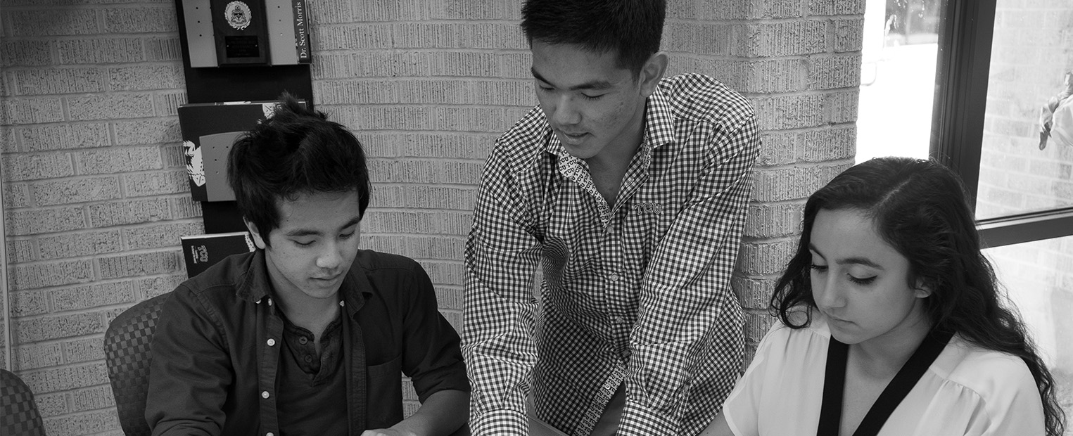largepeermentoring
