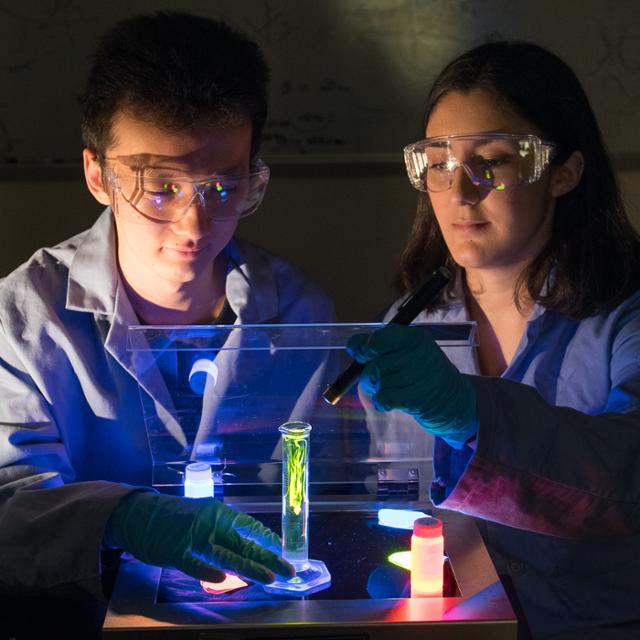 students working with fluorescence