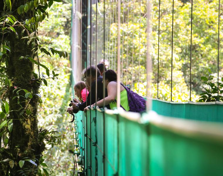 students on a bridge in Costa Rica