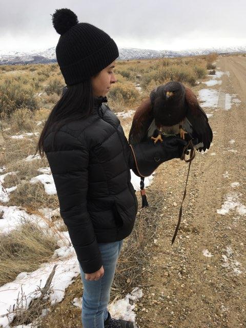 woman holding a bird