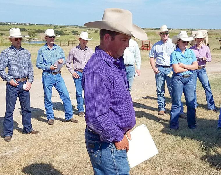 Ranch Management field work